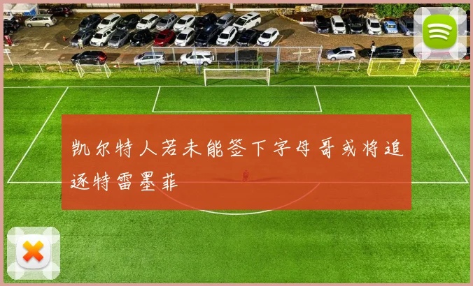 凯尔特人若未能签下字母哥或将追逐特雷墨菲